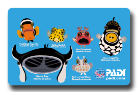 PADIの再発行Cカード PADIの再発行Cカード