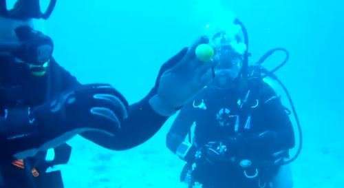 スキューバダイビング中に海の中で生卵を割った動画