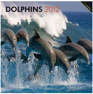 Dolphins 2012 Calendar