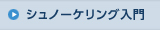 シュノーケリング入門