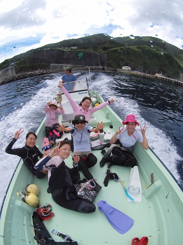 御蔵島のドルフィンスイム（2012年8月）