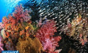 takaji_ochi_photogallery36