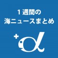 この1週間の海ニュースまとめ