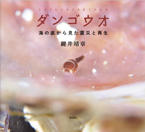 鍵井靖章写真集「ダンゴウオ 海の底から見た震災と再生」