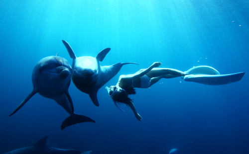 イルカ2頭が上下になり、ぐりぐりと押し合いながらあやのさんの周りを回っている。好奇心旺盛な御蔵島のイルカ達は、野生でありながら、こんな風に寄ってきて一緒に泳いでくれる (水中モデル:鈴木あやの、撮影:福田克之)