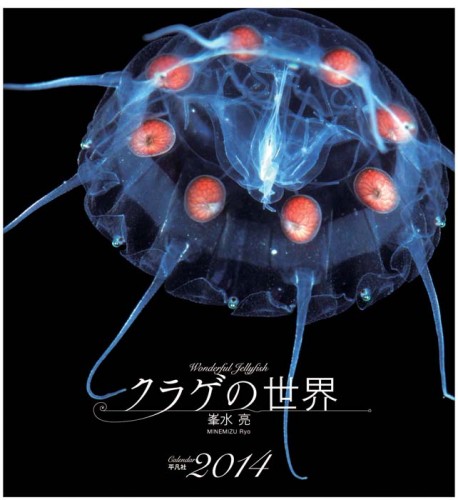 2014年カレンダー「クラゲの世界」（峯水亮）