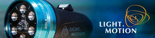 light&motionの水中ライト