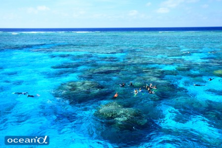 オーストラリア、GBRのサンゴ礁（撮影：越智隆治）