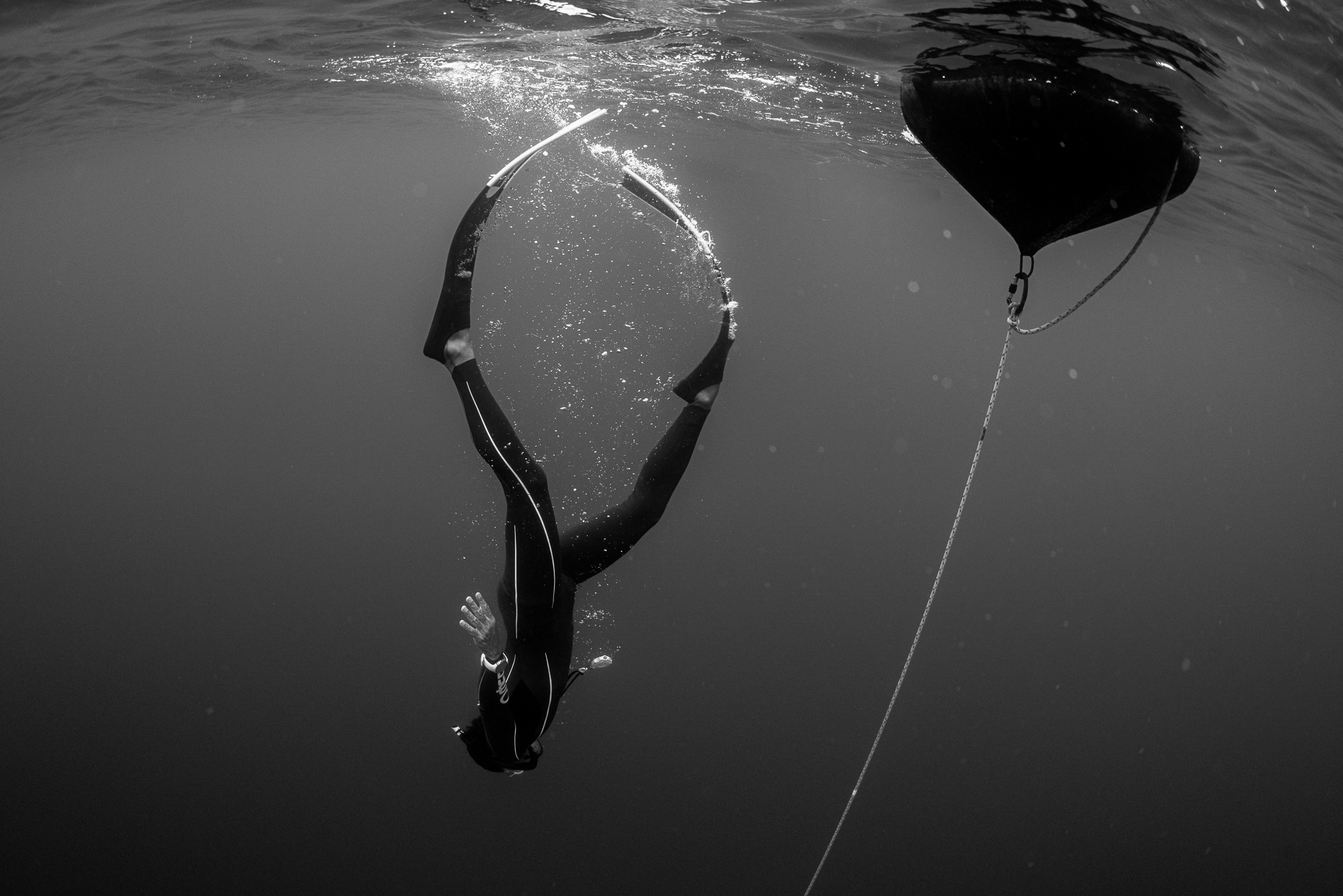 フリーダイバー篠宮龍三の写真