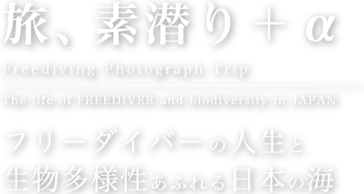 旅、素潜り＋α