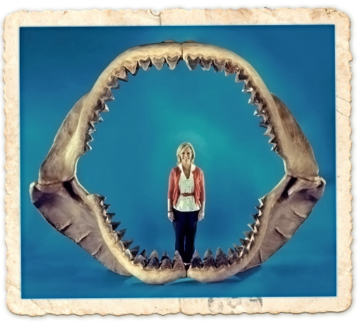 世界最大のサメの顎がオークションに ダイビングと海の総合サイト オーシャナ