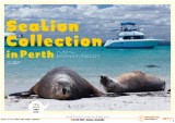 perth_sealion