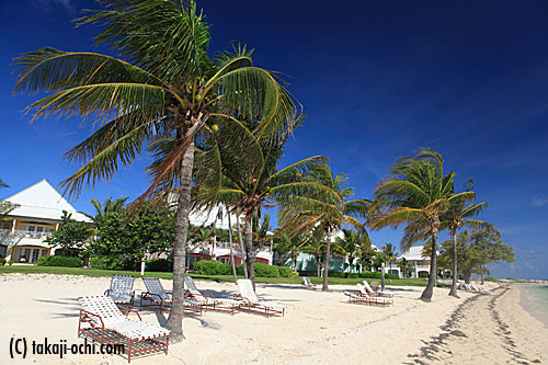Old Bahama Bay Resrot 