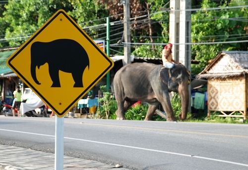 タイの「ゾウ注意」の標識