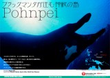 200606_pohnpei_cover