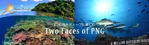 パプアニューギニア、Two Faces of PNG