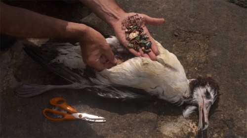 Krokodil Pollution Krokodil Pollution