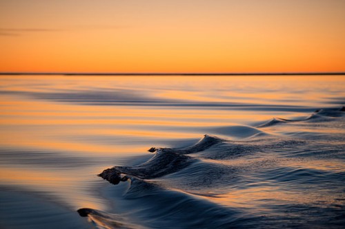 アラスカの夕暮れと海（撮影：岡田裕介）