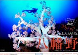 八幡野ウェブマガジン