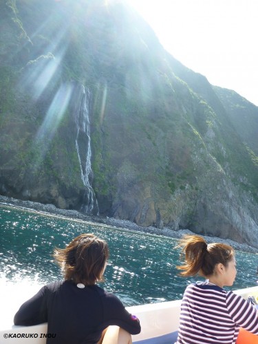 御蔵島で一番大きな滝、白滝