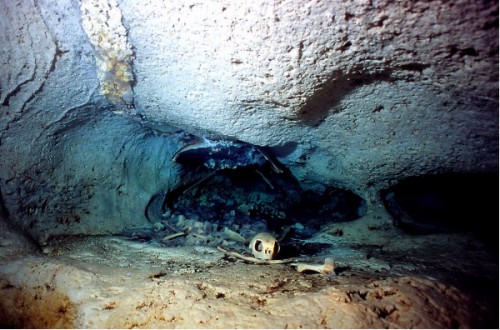 ケーブ（水中鍾乳洞）の中でのカメの死骸