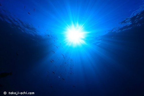 パラオの水面と太陽光（撮影：越智隆治）