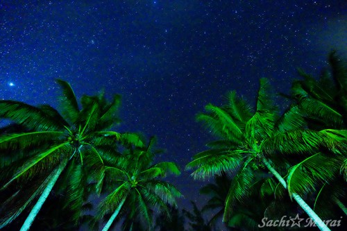 ロタ島の星空（撮影：むらいさち）