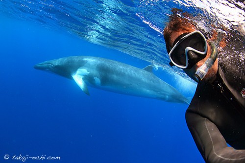 オーストラリア、グレートバリアリーフのミンククジラとの自分撮り（撮影：越智隆治）