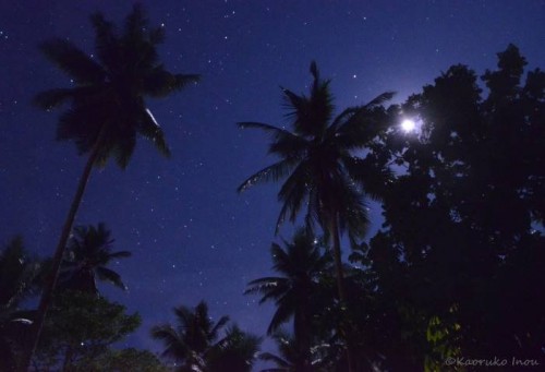 パプアニューギニア、リセナン島の夜空