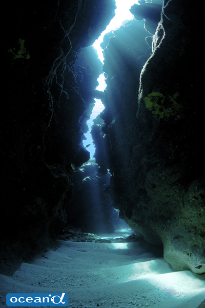 オガンの洞窟（撮影：中村卓哉）