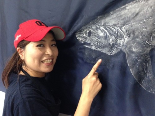 サメの魚拓とシャークジャーナリスト沼口麻子さん