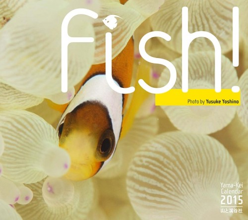 吉野雄輔2015年カレンダー「fish」