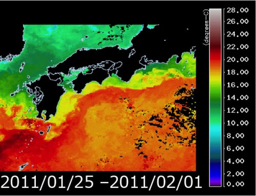 衛星から観測された冬の海水温