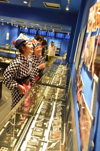 伊豆大島の貝専門博物館「ぱれ・らめーる」