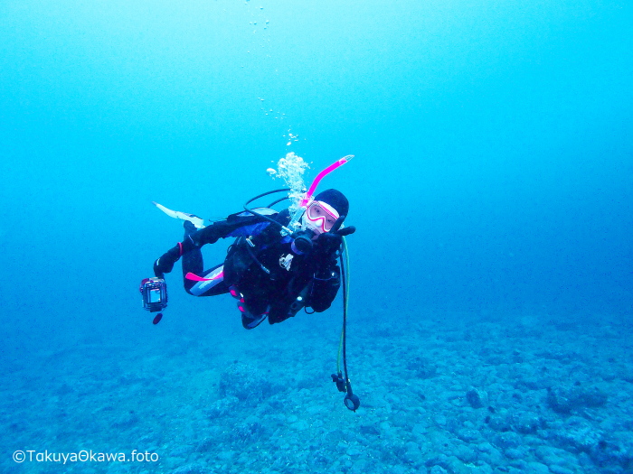フラッシュをオフにする 水中スナップ写真を上手に撮る方法 ダイビングと海の総合サイト オーシャナ