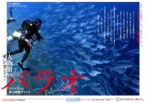 ウェブマガジン・デイドリームパラオ2015