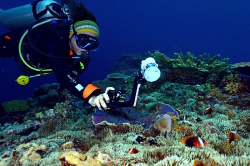 世界初の水深30m耐圧防水！そのまま海中に持っていける革新的コンデジ ...