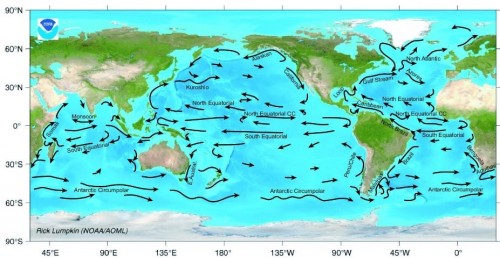 図１．地球全体の大洋の大きな流れ NOAA/AOML