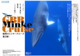 webmag-minke-pdf-325