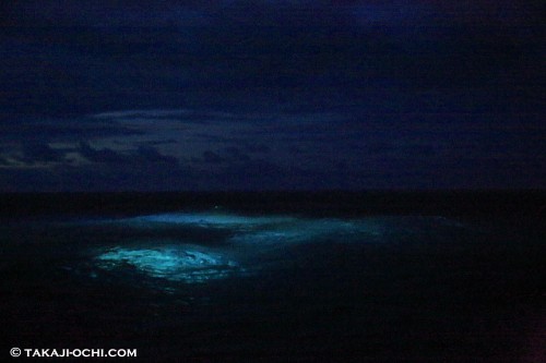 海中に設置したライトが青く光って見える