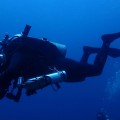 ソロ(単独)潜水はバディダイビングよりも危険なのか?　～JCUEセミナー開催のお知らせ～