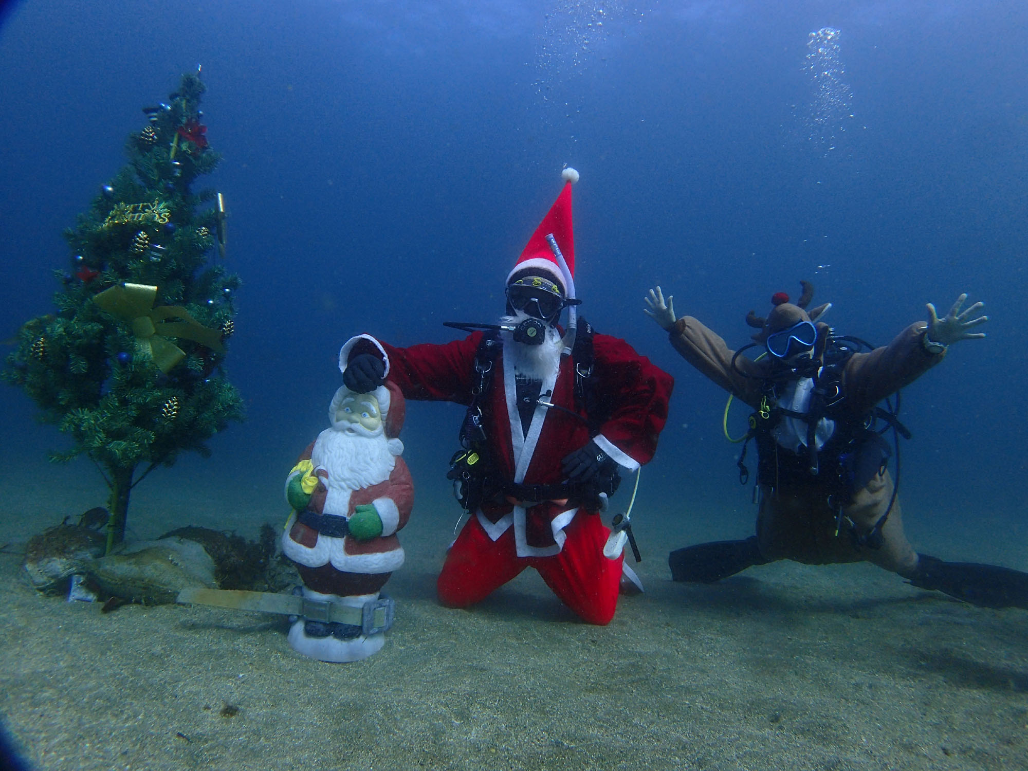 ダイバーだけが楽しめる 水中クリスマスツリーが設置してあるダイビングポイント特集 ダイビングと海の総合サイト オーシャナ