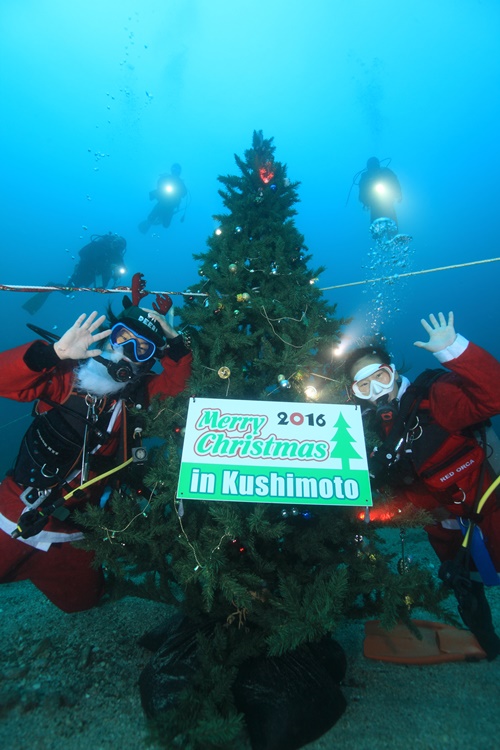 ダイバーだけが楽しめる 水中クリスマスツリーが設置してあるダイビングポイント特集 ダイビングと海の総合サイト オーシャナ
