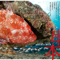水中写真家・越智隆治が初めて潜った本州最南端「串本」