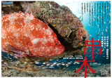 webmag-kushimoto-pdf-325