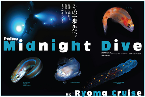 https://oceana.ne.jp/webmagazine/201307_palau_midnight