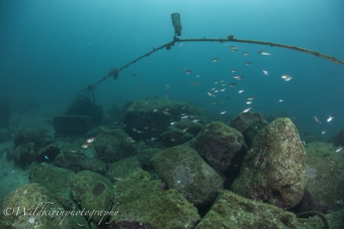 Fukuura Underwater Complete_15