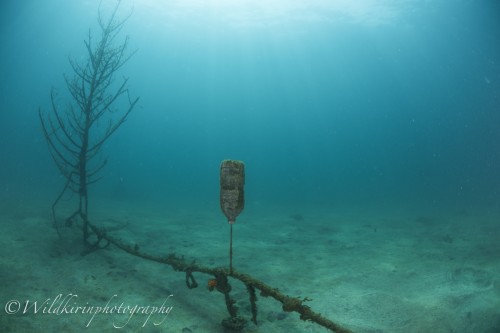 Fukuura Underwater Complete_17