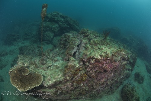 Fukuura Underwater Complete_48