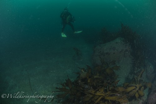 Ishibashi Underwater Complete_19